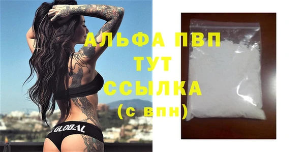 гидра Каменногорск