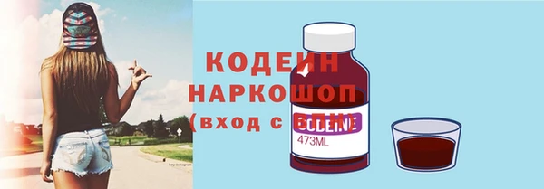 гидра Каменногорск