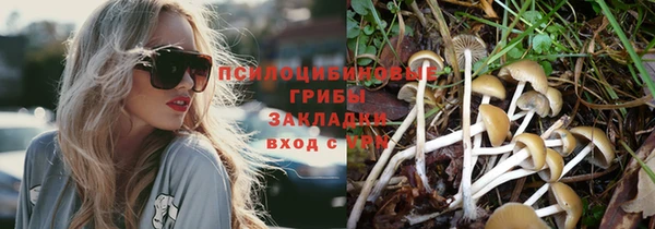 стафф Карталы