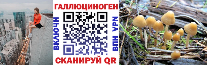 Галлюциногенные грибы Magic Shrooms  блэк спрут ссылки  Киржач 