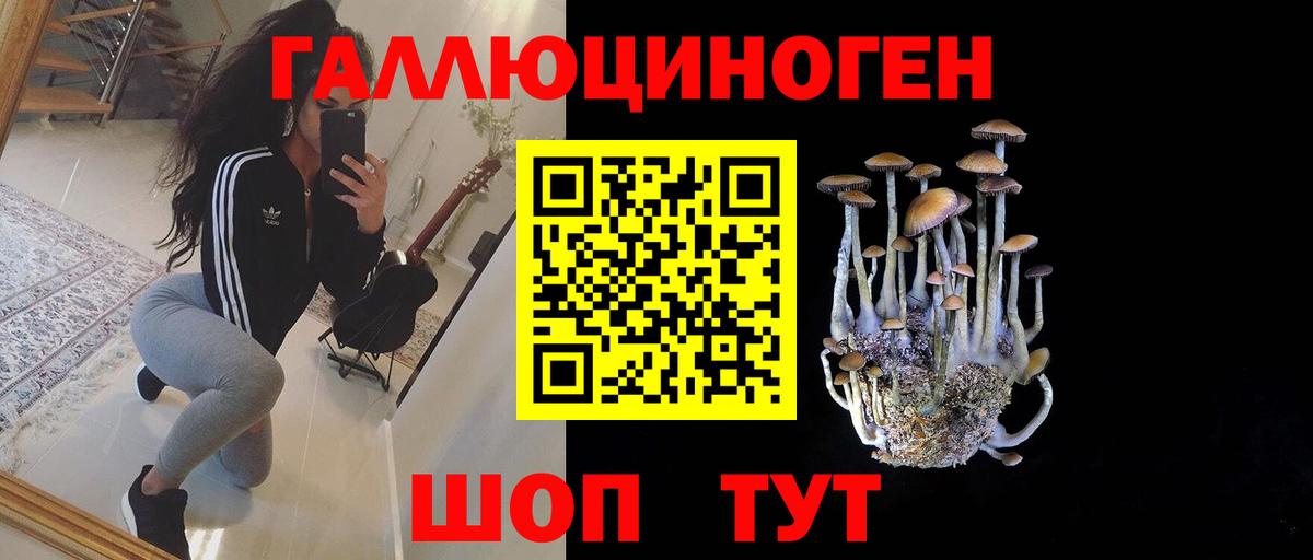 Псилоцибиновые грибы Cubensis Киржач