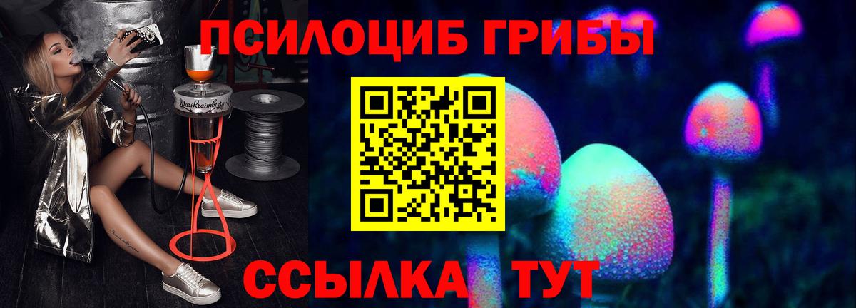 Псилоцибиновые грибы мицелий  Вход с VPN  Киржач  Псилоцибиновые грибы MAGIC MUSHROOMS 